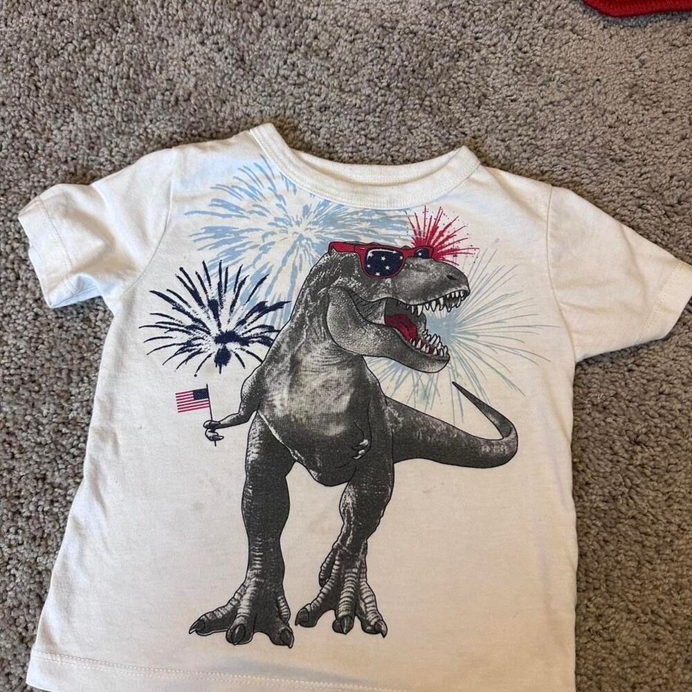 Men's multi T-shirt